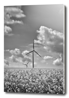 Wind Turbines-France_DSF3959