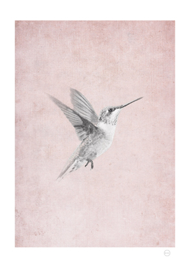 Vintage Hummingbird