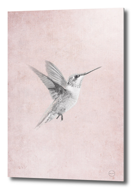 Vintage Hummingbird