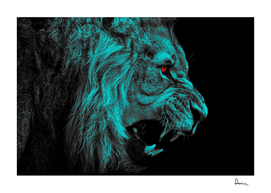 Angry male lion predator carnivore