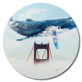Whale Tails Golden Gate Bridge