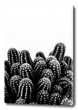 Cactus fingers