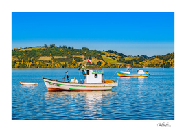 Fishing Boats at Lake, Chiloe, Chile