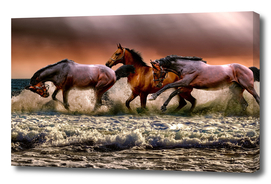 animal horses fauna nature cavalry