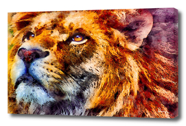 lion wild portrait look watercolor