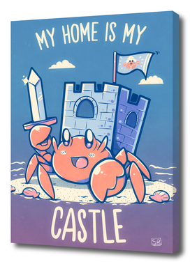 My Home is My Castle - Hermit Crab