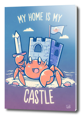 My Home is My Castle - Hermit Crab