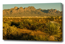 Desert Sunset in Las Cruces, NM