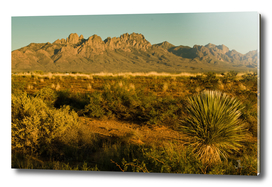 Desert Sunset in Las Cruces, NM