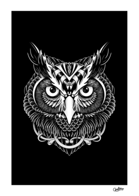 Owl Ornate