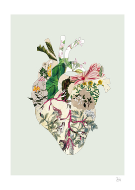 Vinatge Botanical Heart - Green
