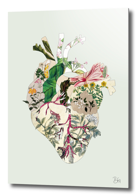Vinatge Botanical Heart - Green