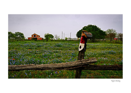 Bluebonnets and Boot