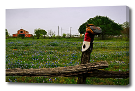 Bluebonnets and Boot