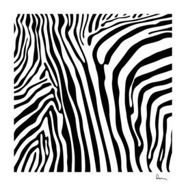 vector zebra stripes seamless pattern