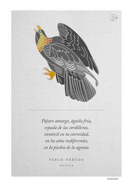Aquila. Pablo Neruda - Arte degli uccelli.