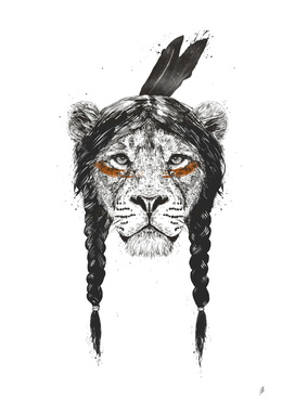Warrior lion