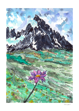 Mountain Flower