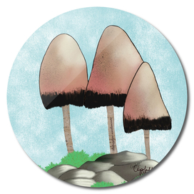 Mushroom One