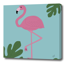 Flamingo Fever
