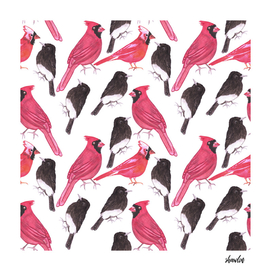 Cardinals and black phoebe watercolor birds