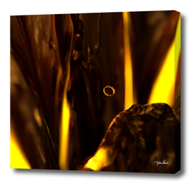 02-The One Ring Collection