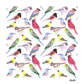 Various birds watercolor art