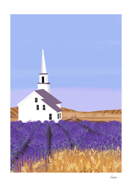 lavender fields church