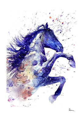 American Paint Horse  Watercolor Painting