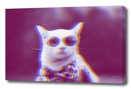 Trippy Cat in Sunglasses