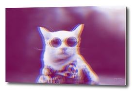 Trippy Cat in Sunglasses