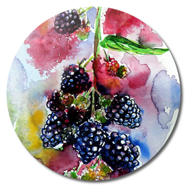 Blackberries II