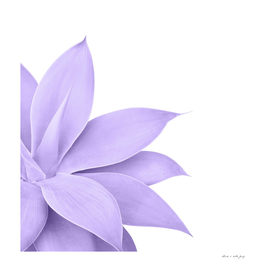 Agave Finesse #9 - Ultra Violet on White #tropical #decor