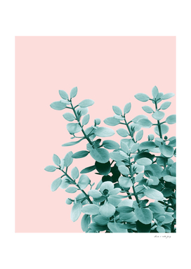 Eucalyptus Leaves Green Blush Vibes #1 #foliage #decor #art