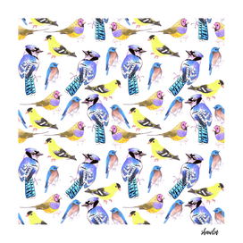 watercolor birds in tetrad color scheme