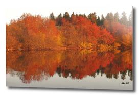 Lake reflection in autumn