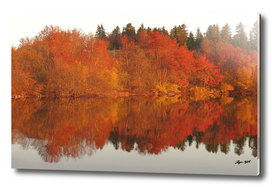 Lake reflection in autumn