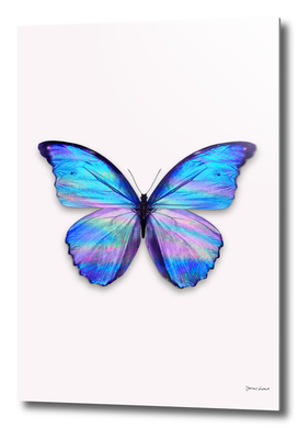 HOLOGRAPHIC BUTTERFLY