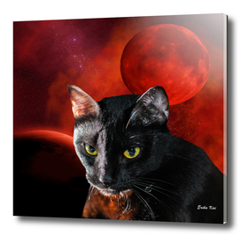Black Cat and Planets