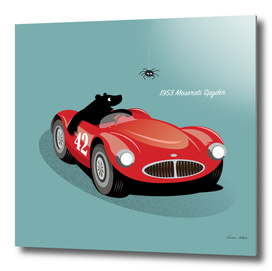 Bear and the Maserati Spyder