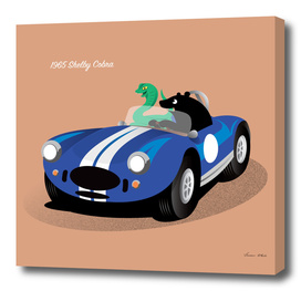 Bear and the Shelby Cobra
