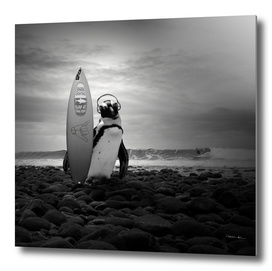 Surfin' penguin