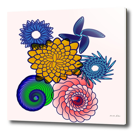 beautiful colorful floral and spiral graphics