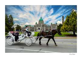Horse and Buggy in Victoria