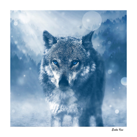 Wolf and Snow