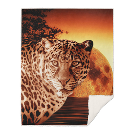 Leopard and Red Moon