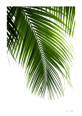 Palm Leaves Green Vibes #10 #tropical #decor #art