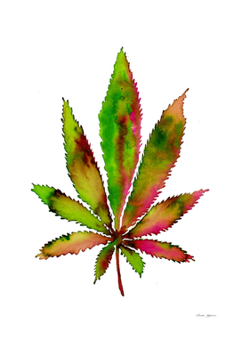 Watercolor Weed Leaf