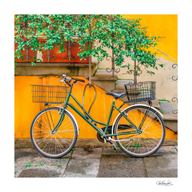 Bicycle Parked at Wall, Lucca, Italy