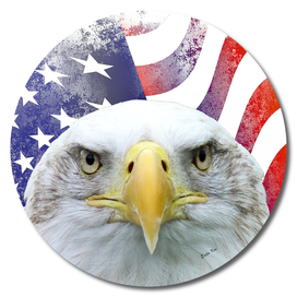 American Flag and Bald Eagle